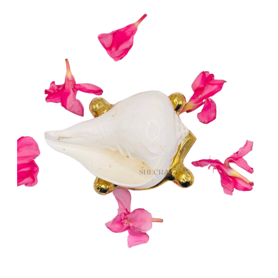 SHANKH ( CONCH SHELL ) AND TORTOISE HEADED STAND FOR POOJA