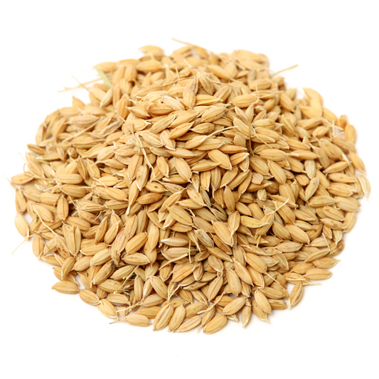ORGANIC PADDY SEEDS FOR POOJA | VADLU | PUJA HAWAN DHAAN | NELLU