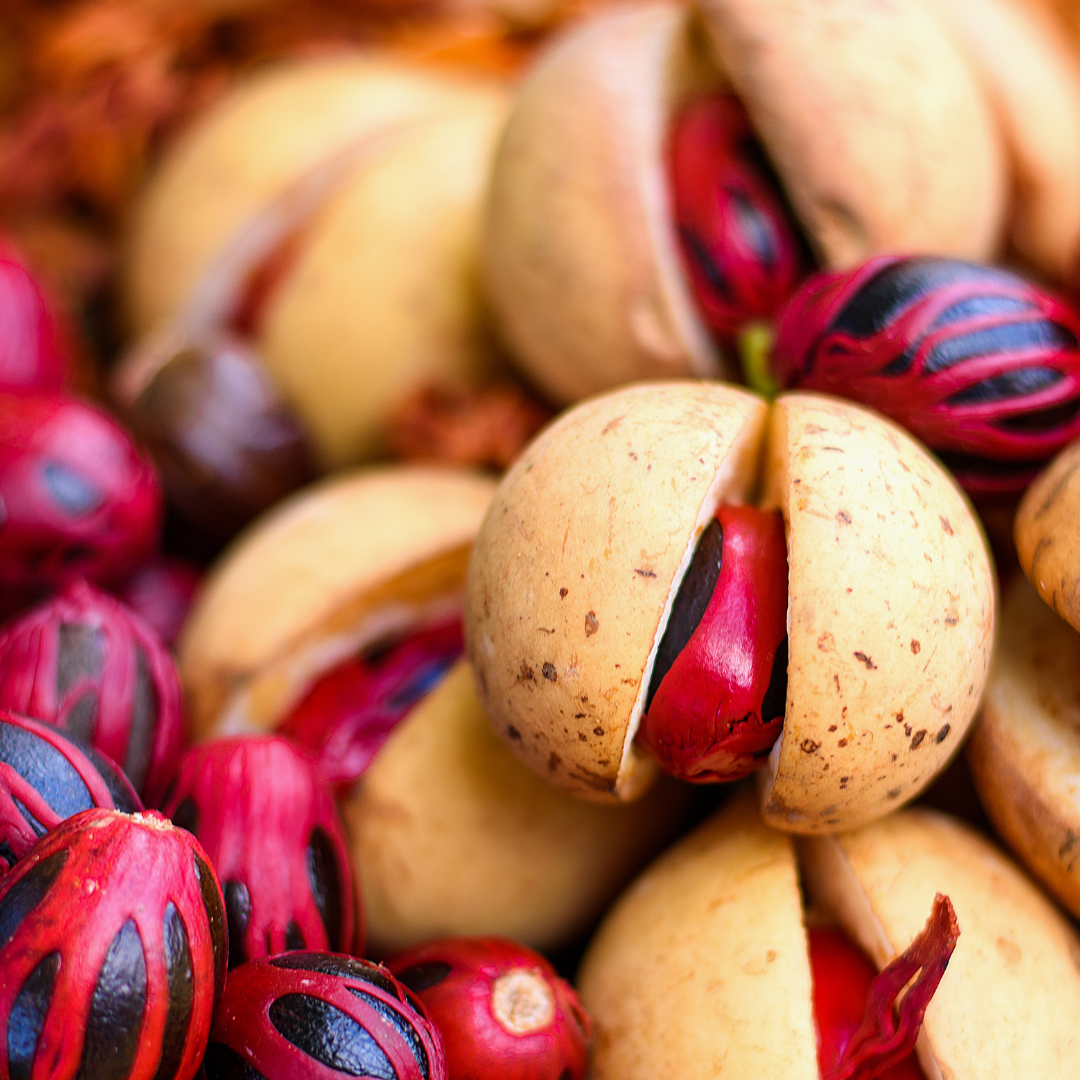 DRIED JATHIKA | NUTMEG SEED | JADHIKAI ( 5 SEEDS )