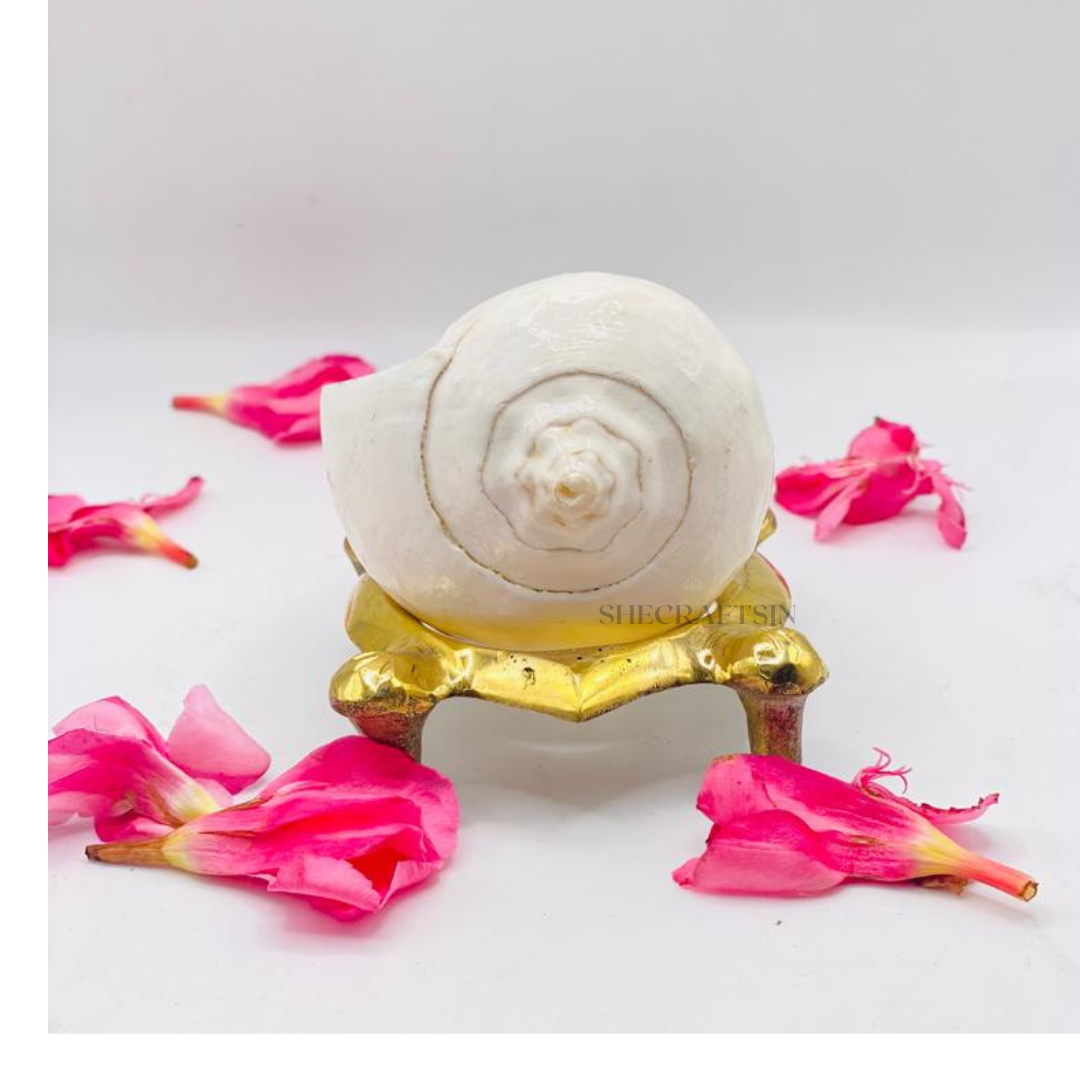 SHANKH ( CONCH SHELL ) AND TORTOISE HEADED STAND FOR POOJA
