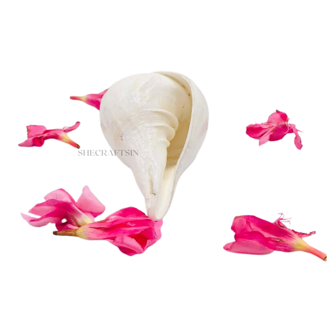 SHANKH ( CONCH SHELL ) AND TORTOISE HEADED STAND FOR POOJA