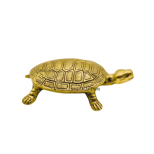BRASS TORTOISE